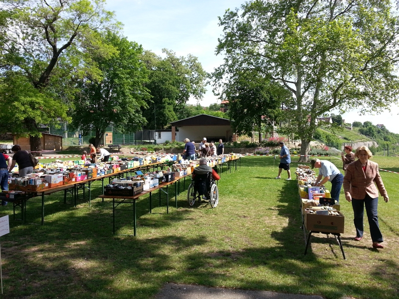 2014-05-25_5. Burgwerbener Buechermarkt_12.jpg